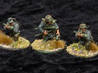 volksgrenadiers new  (2 of 6)